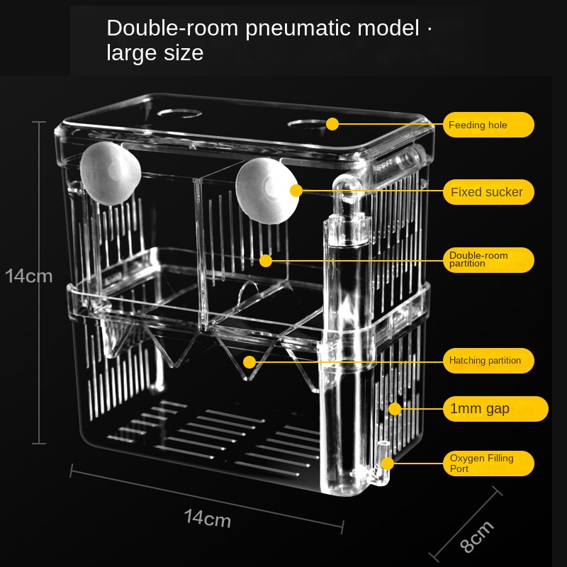 Hộp Nuôi Cá Bằng acrylic Cách Ly Cực Kỳ Cỡ Lớn