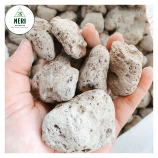 Đá lông vũ 1 lít hay đá nham thạch trắng hàng nhập khẩu size 2-4cm