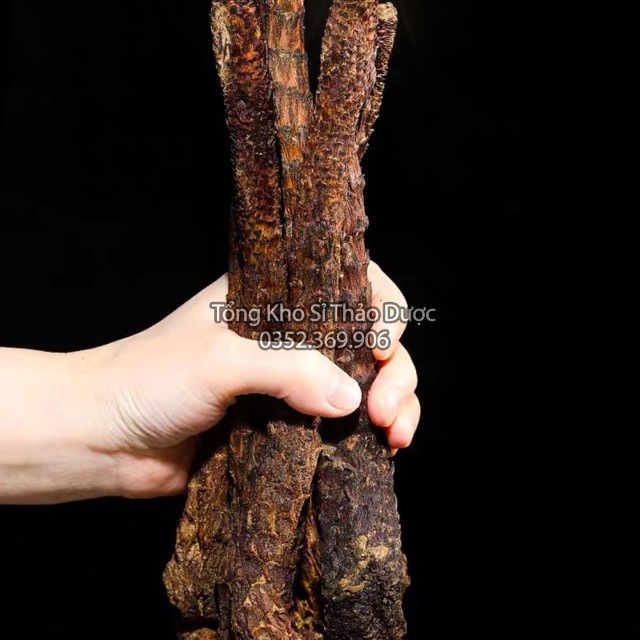 Nhục Thung Dung 500g