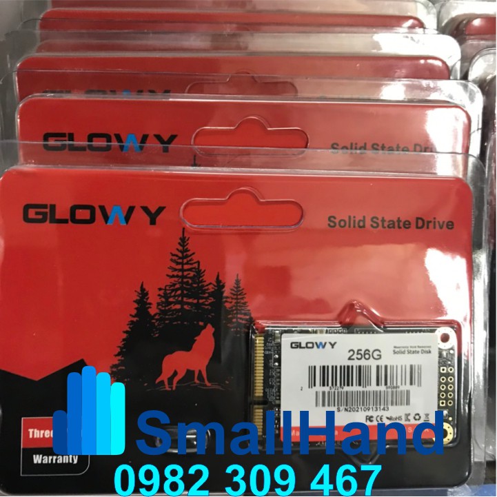 Ổ cứng SSD mSATA Gloway 256GB (Sata3.0) – CHÍNH HÃNG – Bảo hành 3 năm - SSD 256GB