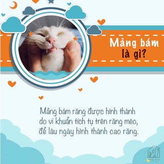Xịt Vệ Sinh Răng Miệng Cho Mèo Lee Webster