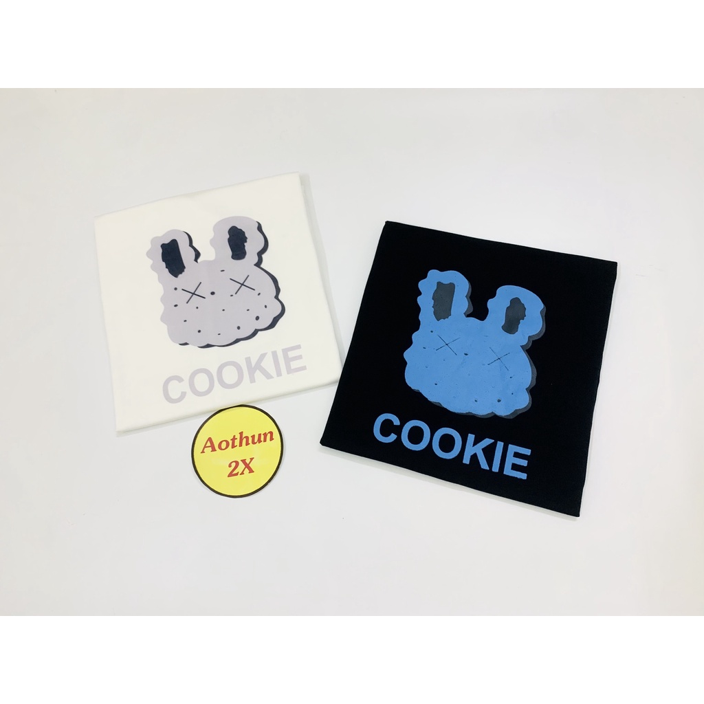 Áo thun phông nữ tay lỡ form rộng AT 516