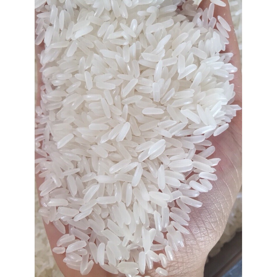 Gạo Tám Thái (Bao 10kg) - Tôm Vàng