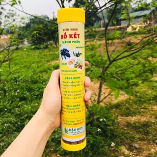 Điếu bồ kết ngũ hành xông nhà tăng sinh khí, vượng khí