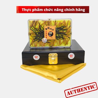 Đông Trùng Hạ Thảo Hàn Quốc – Nguyên Con