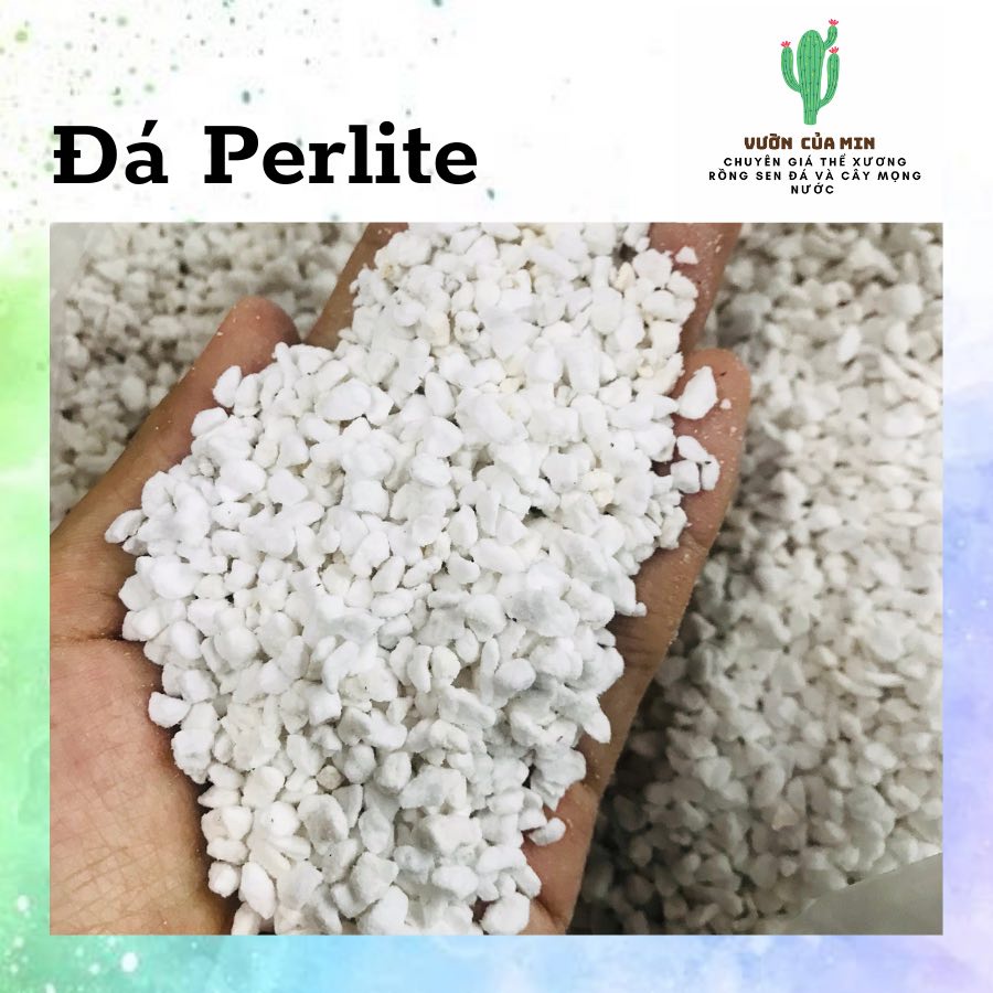 Đá Perlite- 50 gram