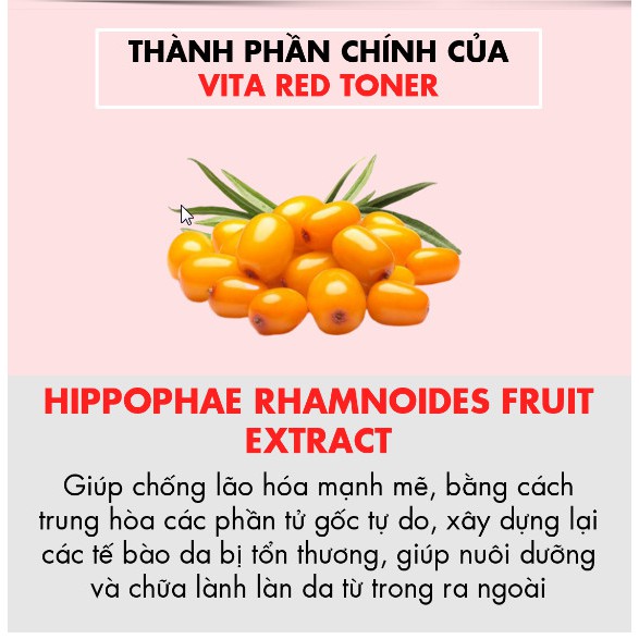 Nước cân bằng Tiam My Signature Vita Red Toner