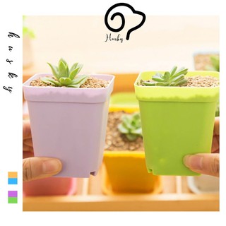 Chậu hoa mini nhiều màu sắc, Chậu nhựa nhỏ chuyên ươm sen đá, xương rồng (đường kính 5.5cm)