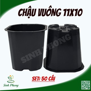 Chậu vuông 11x10 đen (Set 50 cái)