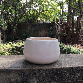 Chậu trồng cây bằng gốm sứ - Chậu Gốm Sứ Đẹp Trồng Cây