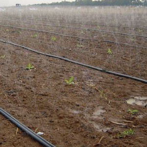 Ống Dây Tưới Phun Mưa Tưới Cây Phi 27mm