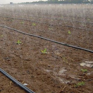 Ống Dây Tưới Phun Mưa Phi 27mm