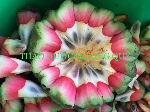TỨN KHỬN THANG CHUẨN 7 VỊ UỐNG LÀ KHỎE