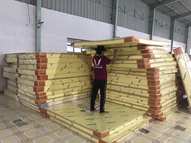 Nệm cao su non Thắng Lợi 2mx2m4 chính hãng (free ship)