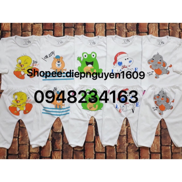 Sét 5 bộ cater dài tay 2-6