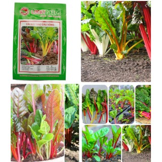 HẠT GIỐNG CẢI BẨY SẮC CẦU VỒNG GÓI 25/30 HẠT