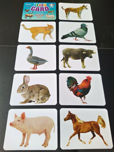 Thẻ học thông minh 18 chủ đề nhà phát hành Việt Hà M101736 kích thước 12x16cm tổng 256 thẻ 1 bộ