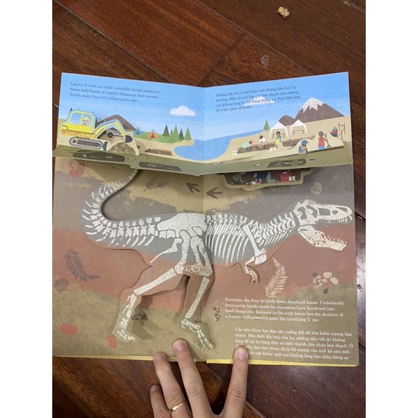 Sách dựng hình 3D - What’s below? - Bên dưới có gì?