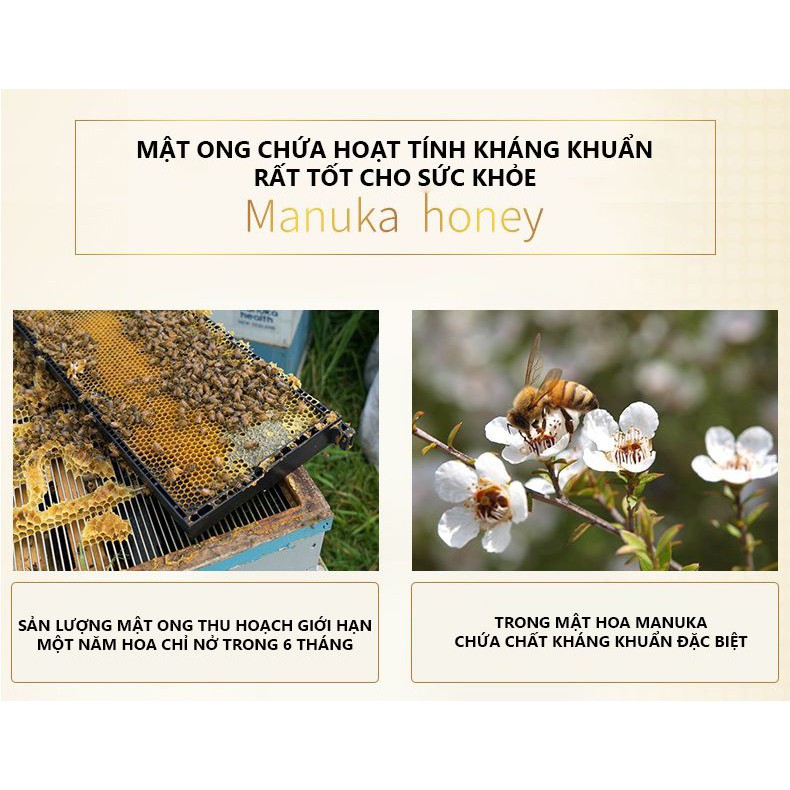 Mật ong Manuka Comvita 15+