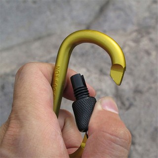 Móc treo (carabiner) thường 03