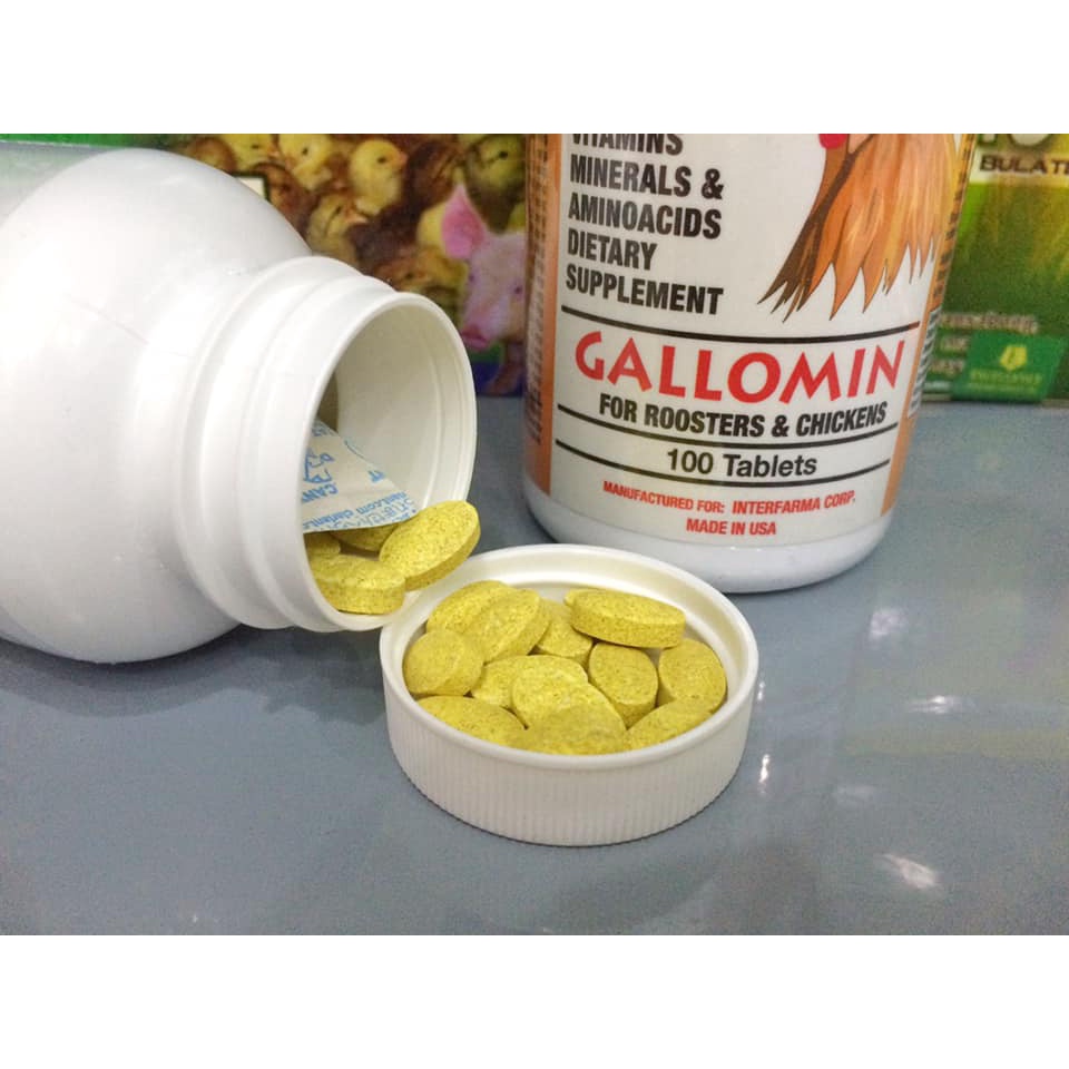 Thuốc nuôi Gallomin (100v) tăng bo, thể lực cho gà đá - Thuốc chiến kê.
