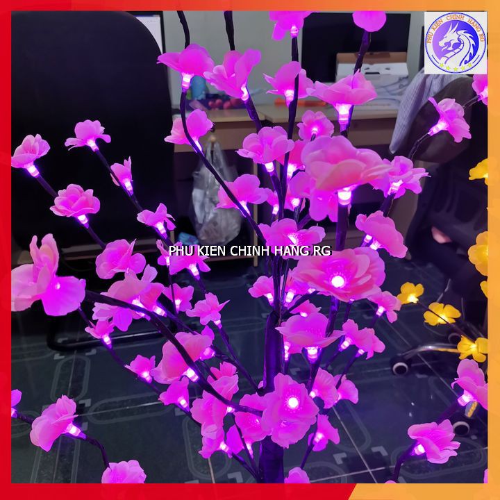 Cây Mai Cây Đào Trang Trí Nhà Cửa Trưng Ngày Lễ Tết Cực Lung Linh