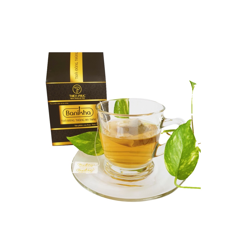 Trà đông trùng hạ thảo túi lọcbanikha Thiên Phúc hộp 20 gói - Chính hãng dược thảo