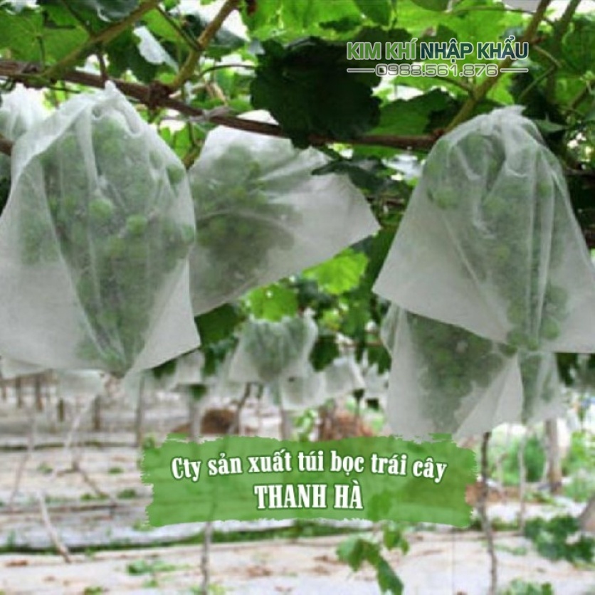 Bao bọc bưởi, túi bọc trái cây Thanh Hà siêu bền kích thước 25x30cm - bịch 100 cái