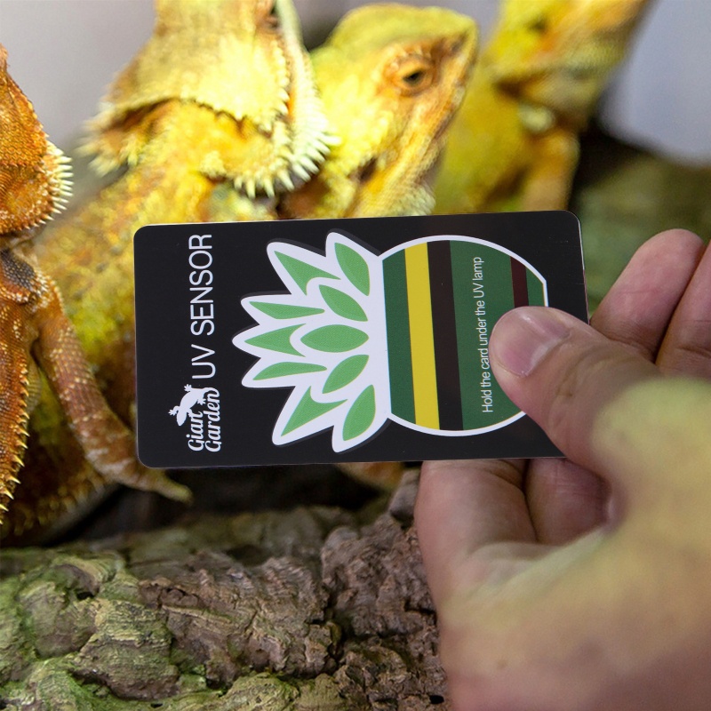 Set 2 Thẻ Đèn UV Cảm Biến Tiệm Trùng Nuôi Bò Sát