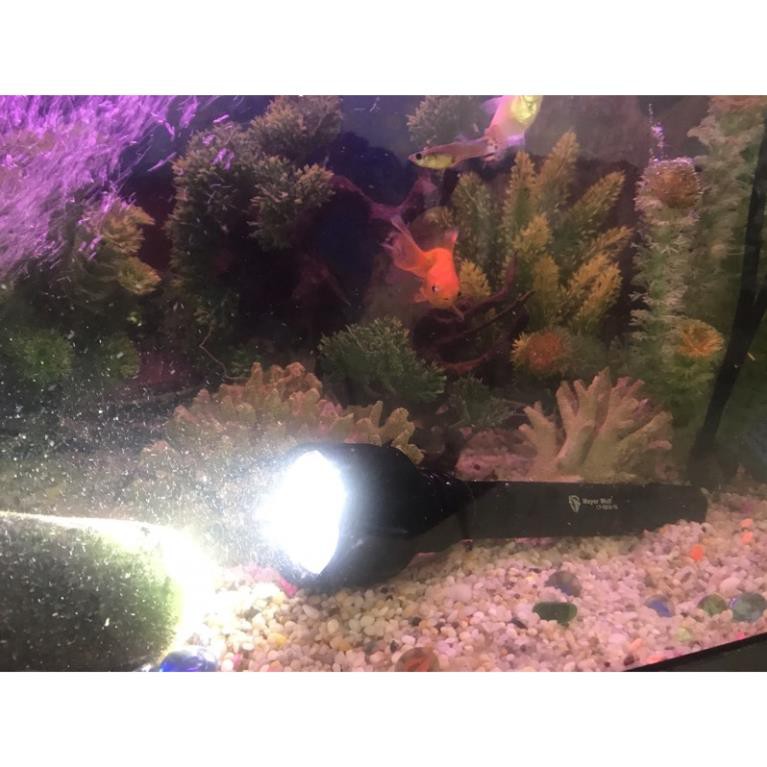 Đèn pin siêu sáng chống nước Mayor Wolf LY S015 - Tặng kèm hộp đựng cao cấp, hàng chính hãng | BigBuy360 - bigbuy360.vn