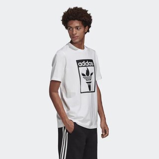 | Ảnh Thật | Bộ Das Logo Torch