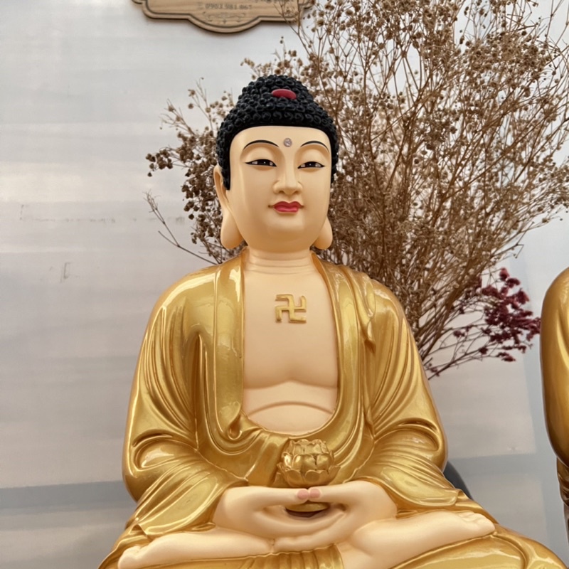 Tượng Phật A Di Đà/Dược sư ngồi 50cm nhủ vẽ