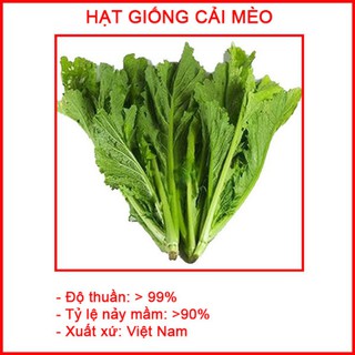 Hạt Giống Cải Mèo loại F1 gói 10 gram, trồng đơn giản, rau ăn ngon, ngọt R009