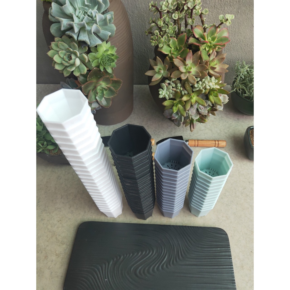 (FREESHIP) Combo 10 Chậu nhựa trồng sen đá, xương rồng  - 6x4cm - Mỏng - Dẻo