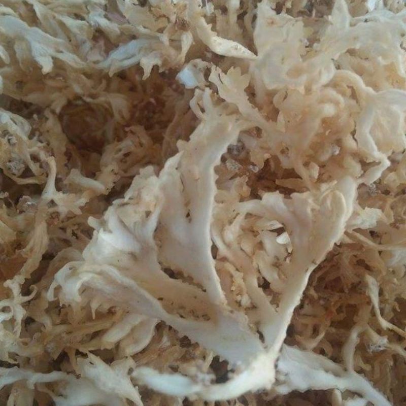 Rong Rau Câu Chân Vịt Khô 100 Gram Nấu Chè ,Nấu Rau Câu, Làm Gỏi