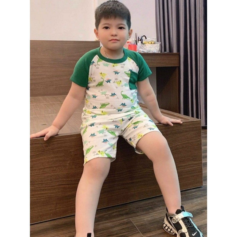 [8kg-26kg] Bộ cotton cho bé vải xuất dư [L5]