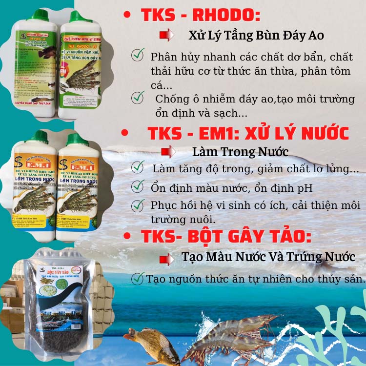 Bộ 3 Vi Sinh: Xử Lý Tần Bùn Đáy Ao, Làm Trong Nước, xử Lý Tạo , Tạo Màu Nước Ao Nuôi Tôm Cá