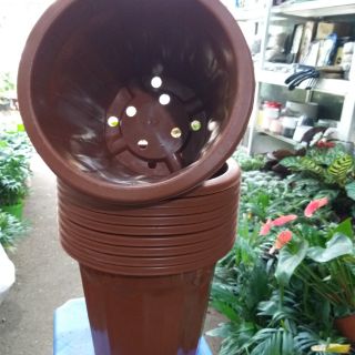 10 chậu trồng cây E300 - Chậu bền đẹp