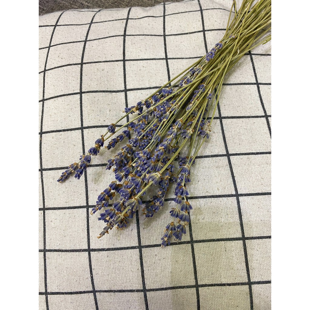 Trang trí phòng ngủ ❤️10gr Oải Hương (lavender) Pháp❤️ trang trí tiệc cưới vintage, Quà tặng