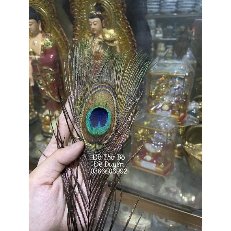 Lông công ốp điện thoại