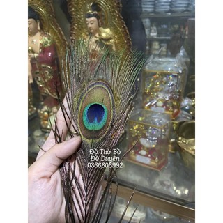 Lông công ốp điện thoại