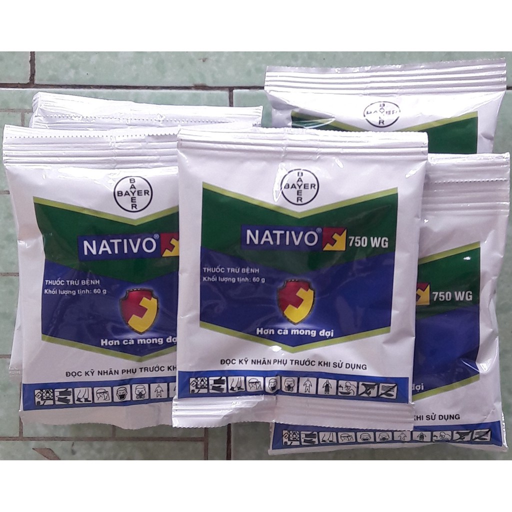 Thuốc trừ bệnh Nativo 750WG 60gr