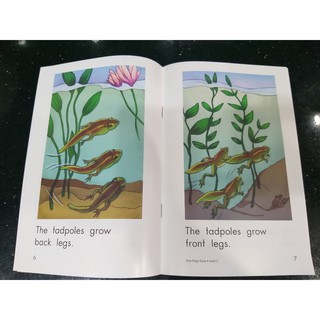 Bộ nhập - Razkids Level C (98 books) - Razkid (Quét mã QR lấy file Mp3)