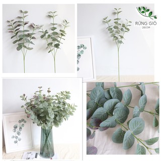 Cành lá cây bạch đàn nhân tạo loại 1 cành 3 nhánh cao 68cm - trang trí theo phong cách Bắc Âu, mã CL3