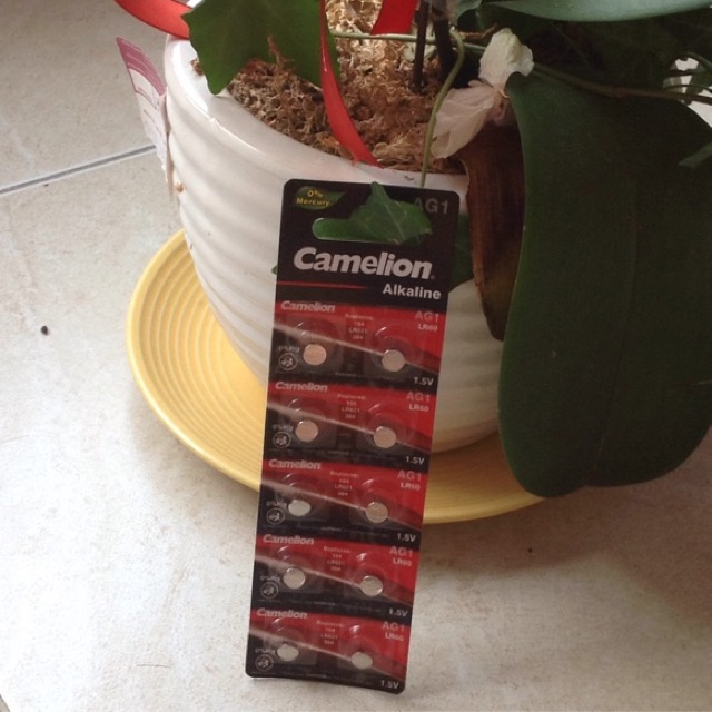 Vỉ 10 viên Pin Camelion AG1, LR621H, 364A , SG1, SR60, LR60, 164, 364, LR621, SR621, 1175SO,hàng chí