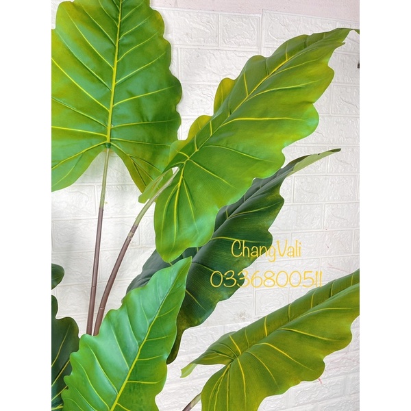 Cây giả-Cây Tai Voi Nam Phi loại cao cấp ,decor cực đẹp