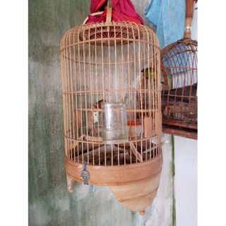 Lồng nuôi chim Khuyên