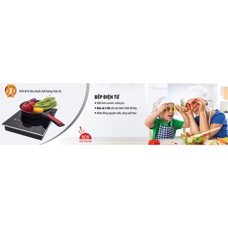 Bếp điện từ cao cấp Elmich EL-7950