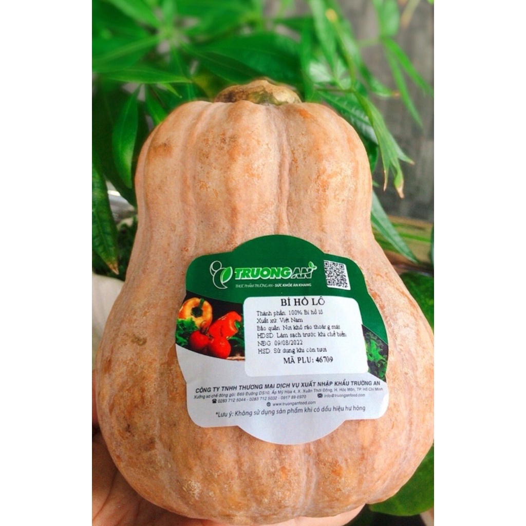 - BÍ HỒ LÔ 1 TRÁI