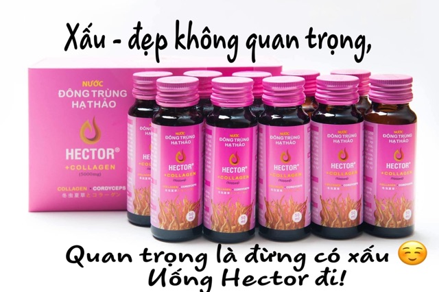 [Chính Hãng  - TĂNG QUÀ ] Nước Hector Collagen Đông Trùng Hạ Thảo 1 hộp 10 chai | BigBuy360 - bigbuy360.vn